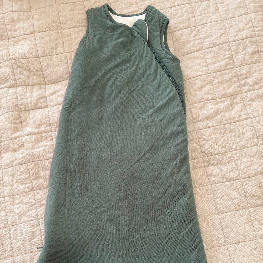Kyte Baby Sleepsack, 0-6m, 2.5TOG